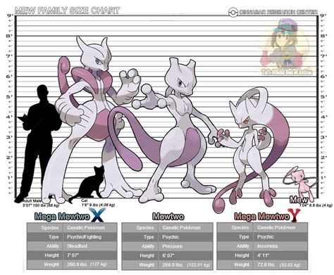 mewtwo evolution chart